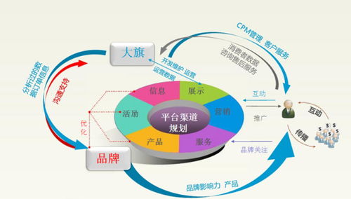 电子商务与专业的关系