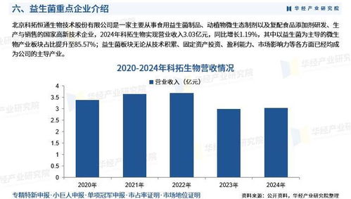 外资企业持续投资中国，深度解析与展望