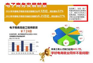 电子商务专业经验是什么