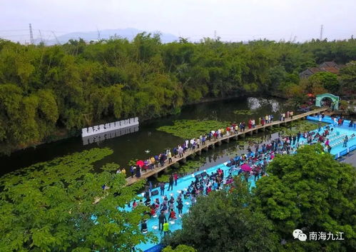 景区回应女士穿比基尼可免门票，倡导时尚与包容，助力旅游业发展