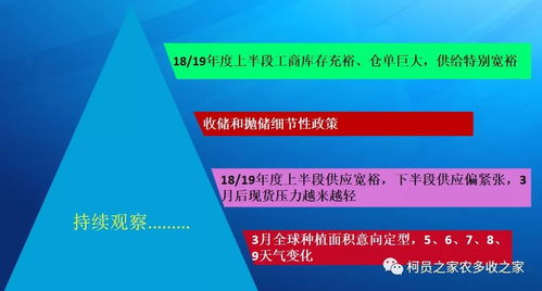 伊以冲突极速升级，局势分析与前景展望