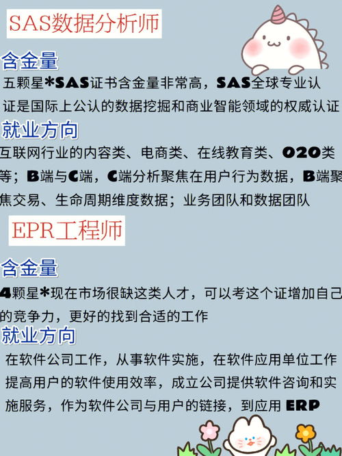 电子商务专业a类考什么